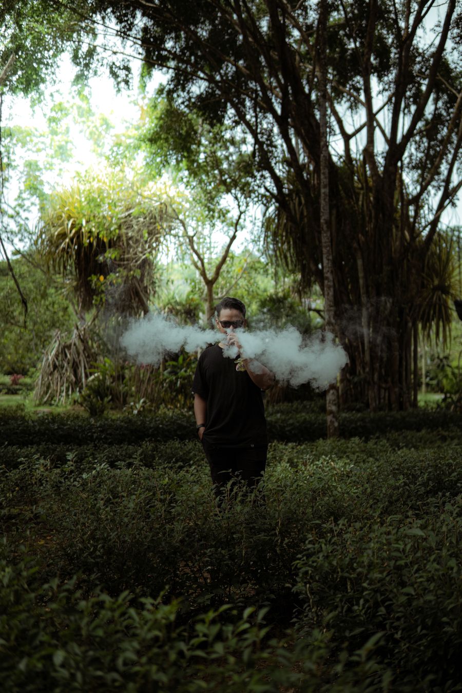 vape mod