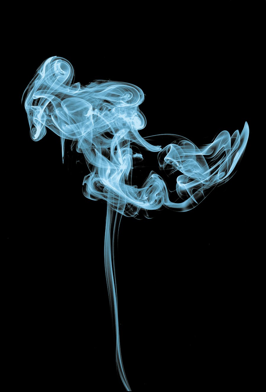 vape bundle